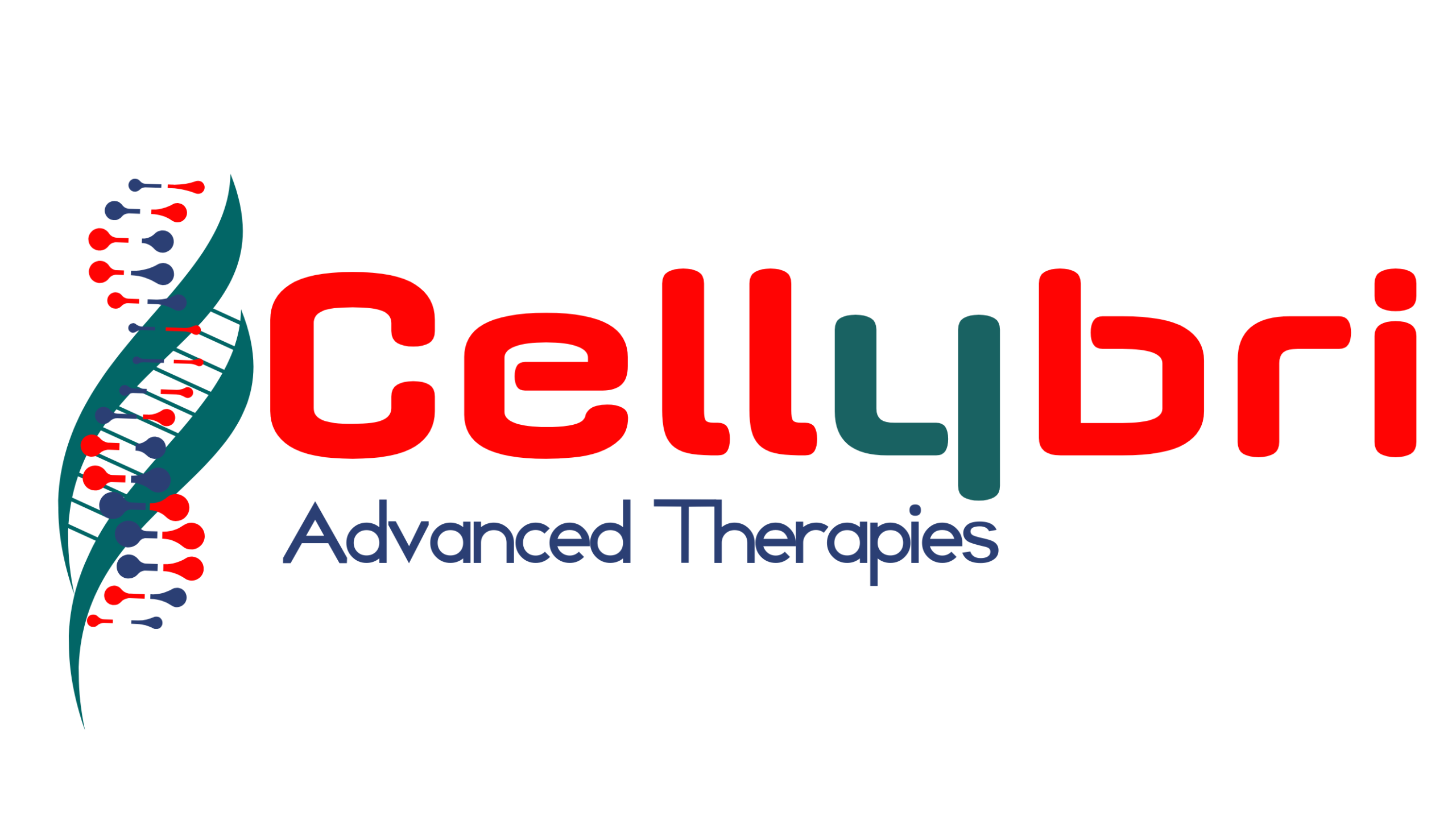 Cellybri transp